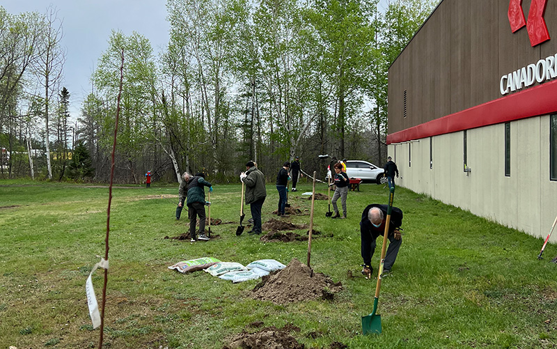 Tree Planting